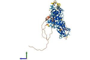 AlphaFold protein structure predicition of Human Recombinant FASTK Protein, UniprotID Q14296 (FASTK Protein (AA 1-549) (His tag))