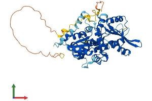 AlphaFold protein structure predicition of Mouse Recombinant Narf Protein, UniprotID Q9CYQ7
