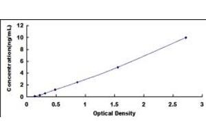 Caspase 7 ELISA Kit