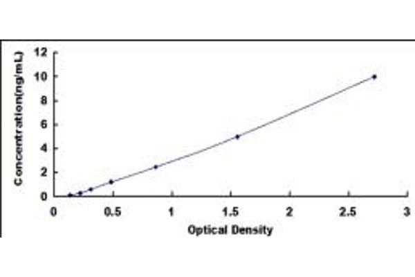 Caspase 7 ELISA Kit