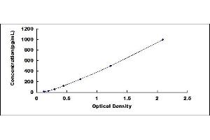 Typical standard curve (CCL7 ELISA Kit)