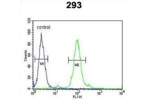 Flow Cytometry (FACS) image for anti-Finkel-Biskis-Reilly Murine Sarcoma Virus (FBR-MuSV) Ubiquitously Expressed (FAU) antibody (ABIN2998457) (FAU antibody)