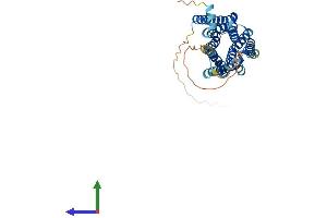 Protein Structure (PS) image for Serotonin Receptor 1D (HTR1D) (AA 1-377) protein (His tag) (ABIN7551743)