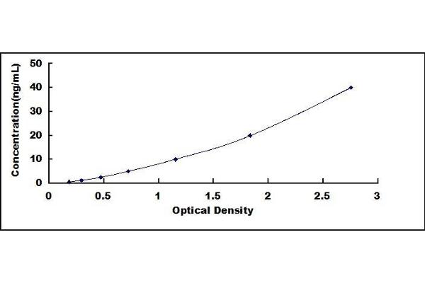 Lipocalin 1 ELISA Kit