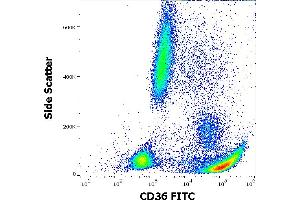 Flow cytometry surface staining pattern of human peripheral whole blood stained using anti-human CD36 (CB38) FITC antibody (4 μL reagent / 100 μL of peripheral whole blood). (CD36 antibody  (FITC))