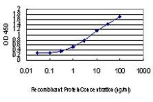 Detection limit for recombinant GST tagged PLA2G7 is approximately 0. (PLA2G7 antibody  (AA 22-441))