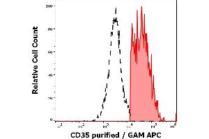 Separation of human CD35 positive lymphocytes (red-filled) from CD35 negative lymphocytes (black-dashed) in flow cytometry analysis (surface staining) of human peripheral whole blood stained using anti-human CD35 (E11) purified antibody (concentration in sample 3 μg/mL, GAM APC).