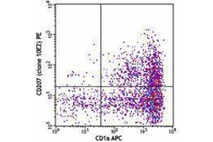 Flow Cytometry (FACS) image for anti-CD207 Molecule, Langerin (CD207) antibody (PE) (ABIN2662533)