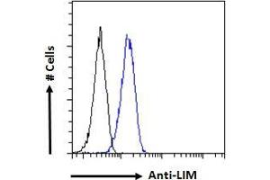 ABIN6391400 Flow cytometric analysis of paraformaldehyde fixed HeLa cells (blue line), permeabilized with 0. (LMO3 antibody  (C-Term))