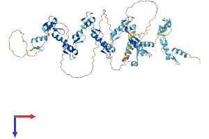 Protein Structure (PS) image for Zinc Finger Protein 418 (ZNF418) (AA 1-676) protein (His tag) (ABIN7545272)