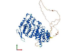 AlphaFold protein structure predicition of Mouse Recombinant Men1 Protein, UniprotID O88559 (Menin Protein (AA 1-611) (His tag))