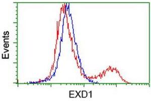 HEK293T cells transfected with either RC206223 overexpress plasmid (Red) or empty vector control plasmid (Blue) were immunostained by anti-EXD1 antibody (ABIN2454022), and then analyzed by flow cytometry. (EXD1 antibody)