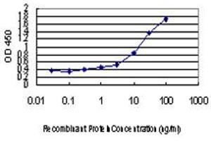 Detection limit for recombinant GST tagged SMAD3 is approximately 0. (SMAD3 antibody  (AA 1-110))