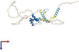 AlphaFold protein structure predicition of Human Recombinant MEIS3P1 Protein, UniprotID A6NDR6 (MEIS3P1 Protein (AA 1-274) (His tag))