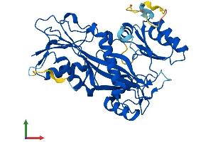 Protein Structure (PS) image for Tubulin tyrosine Ligase (TTL) (AA 1-377) protein (His tag) (ABIN7544762)