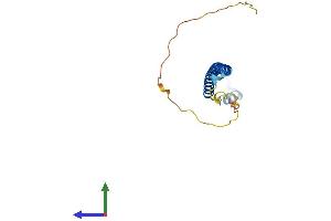 AlphaFold protein structure predicition of Human Recombinant KXD1 Protein, UniprotID Q9BQD3 (C19orf50 Protein (AA 1-176) (His tag))