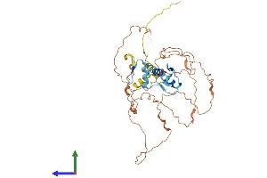 Protein Structure (PS) image for Early Growth Response 3 (EGR3) (AA 1-387) protein (His tag) (ABIN7547309)