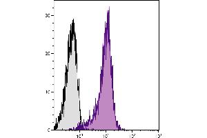 BALB/c mouse thymocytes were stained with Hamster Anti-Mouse CD28-UNLB. (CD28 antibody  (SPRD))