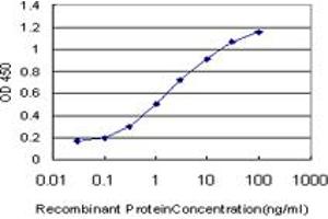 Detection limit for recombinant GST tagged JAG2 is approximately 0. (JAG2 antibody  (AA 121-210))