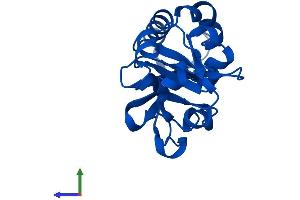 AlphaFold protein structure predicition of Mouse Recombinant Mcts2 Protein, UniprotID Q9CQ21 (Mcts2 Protein (AA 1-181) (His tag))