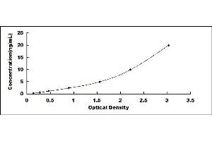 Typical standard curve (SULF2 ELISA Kit)