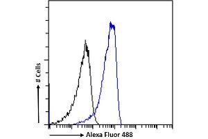 (ABIN185373) Flow cytometric analysis of paraformaldehyde fixed HeLa cells (blue line), permeabilized with 0. (Neuroserpin antibody  (C-Term))