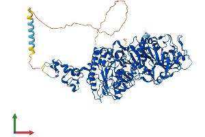Protein Structure (PS) image for Ectonucleotide Pyrophosphatase/phosphodiesterase 1 (ENPP1) (AA 1-925) protein (His tag) (ABIN7553820)