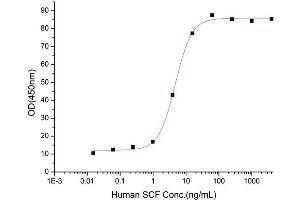 KIT Ligand (KITLG) (AA 26-189) (Active) protein (His tag)