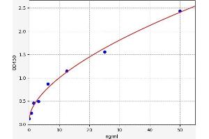 Fibronectin Type III Domain Containing 5 (FNDC5) ELISA Kit