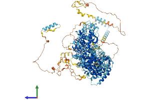 AlphaFold protein structure predicition of Mouse Recombinant Rpap1 Protein, UniprotID Q80TE0