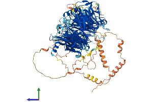 AlphaFold protein structure predicition of Human Recombinant LLGL1 Protein, UniprotID Q15334 (LLGL1 Protein (AA 1-1064) (His tag))