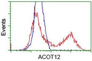 HEK293T cells transfected with either RC210445 overexpress plasmid (Red) or empty vector control plasmid (Blue) were immunostained by anti-ACOT12 antibody (ABIN2454429), and then analyzed by flow cytometry. (ACOT12 antibody)