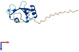 SH2D1A Protein (AA 1-126) (His tag)