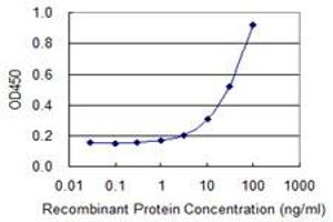 Detection limit for recombinant GST tagged TK1 is 1 ng/ml as a capture antibody. (TK1 antibody  (AA 1-234))