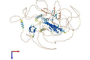 AlphaFold protein structure predicition of Human Recombinant PHF20L1 Protein, UniprotID A8MW92 (PHF20L1 Protein (AA 1-1017) (His tag))