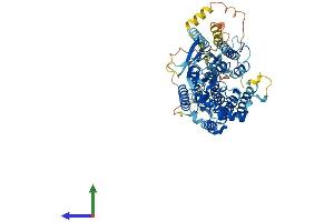 AlphaFold protein structure predicition of Mouse Recombinant Hgsnat Protein, UniprotID Q3UDW8