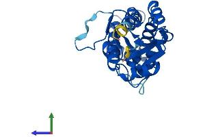 AlphaFold protein structure predicition of Mouse Recombinant Nanp Protein, UniprotID Q9CPT3 (NANP Protein (AA 1-248) (His tag))