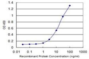 Detection limit for recombinant GST tagged CAMK1D is 0. (CAMK1D antibody  (AA 1-95))