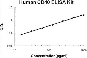 Human CD40/TNFRSF5 Accusignal ELISA Kit Human CD40/TNFRSF5 AccuSignal ELISA Kit standard curve.