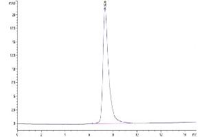 CLEC14A Protein (AA 22-386) (His tag)