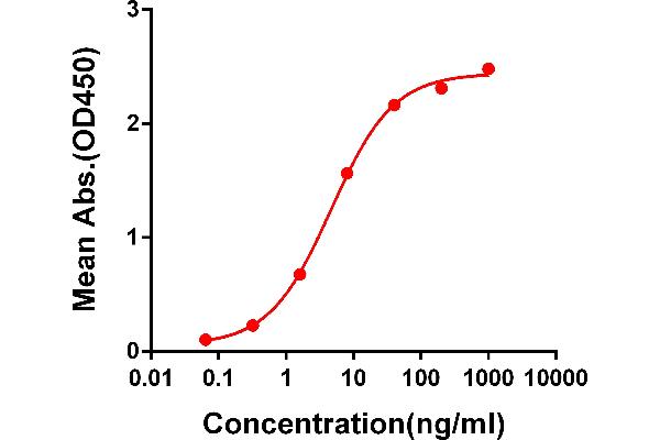 Recombinant SARS-CoV-2 Spike antibody  (AA 319-541)
