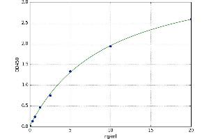 Bone Marrow Proteoglycan (PRG2) ELISA Kit