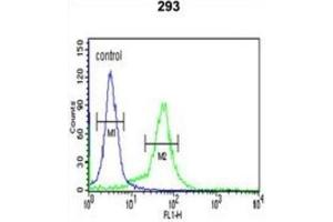Flow Cytometry (FACS) image for anti-BTB (POZ) Domain Containing 1 (BTBD1) antibody (ABIN3003140) (BTBD1 antibody)