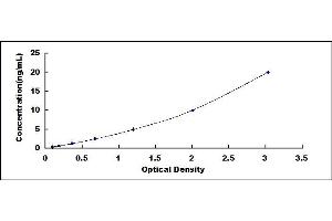 Typical standard curve