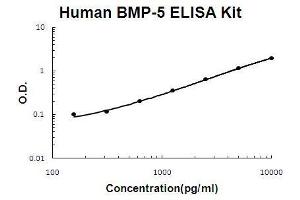 Human BMP-5 PicoKine ELISA Kit standard curve (BMP5 ELISA Kit)