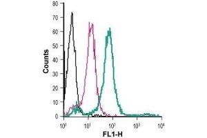 Cell surface detection of GPR84 in live intact human THP-1 monocytic leukemia cells: (black line) Cells. (GPR84 antibody  (2nd Extracellular Loop) (FITC))