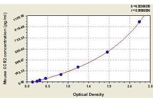 Typical standard curve (CCR2 ELISA Kit)