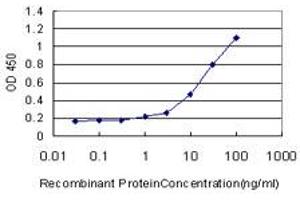 Detection limit for recombinant GST tagged ATG3 is approximately 1ng/ml as a capture antibody. (ATG3 antibody  (AA 1-100))