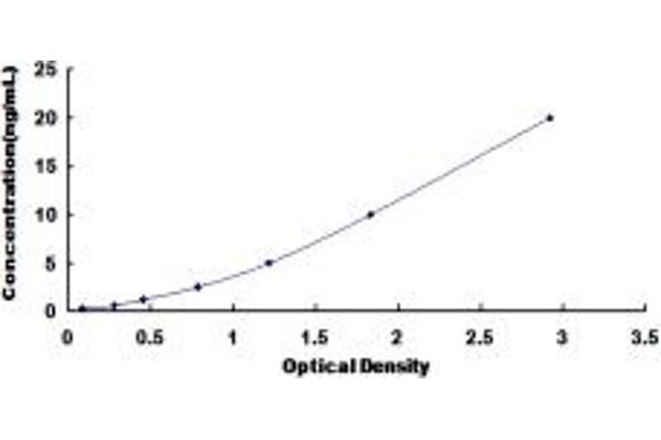 ALOXE3 ELISA Kit
