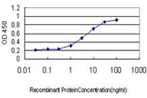 Detection limit for recombinant GST tagged RNASEH1 is approximately 0. (Ribonuclease H1 antibody  (AA 189-286))